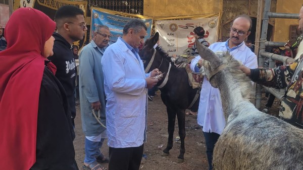 قوافل بيطرية مجانية