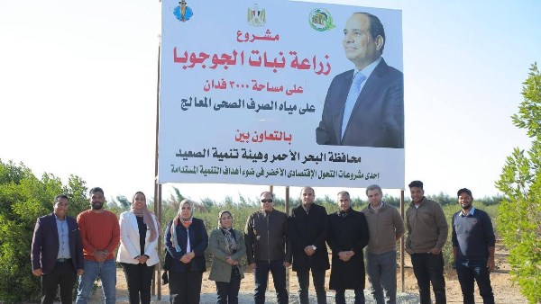 رئيس هيئة تنمية الصعيد يتفقد ويتابع عملية حصاد محصول الجوجوبا بمحافظة البحر الأحمر