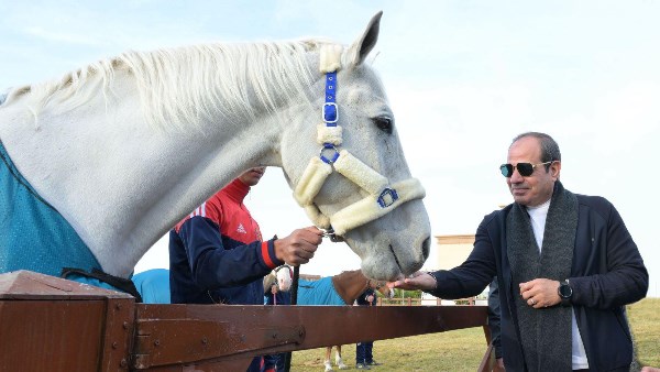 الرئيس عبد الفتاح السيسي
