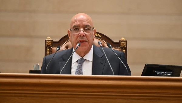 مجلس النواب يعتمد القوائم النهائية لترشيحات عضوية اللجان النوعية