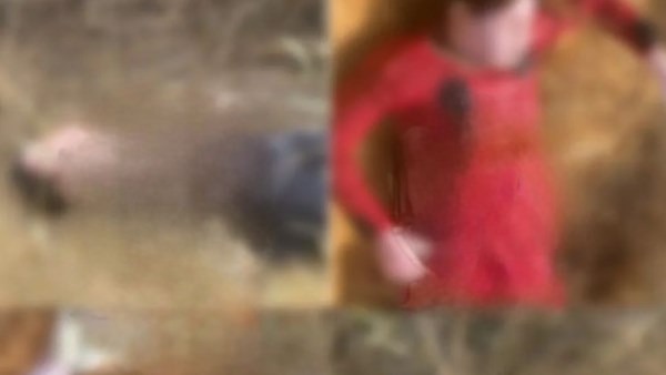 «مأساة بالإسكندرية.. أب ينهى حياة 4 من أبنائه وشقيقهم الخامس ينجو بالصدفة»