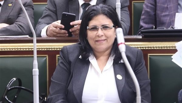 سنة حبس غيابيًا وكفالة 30 ألف جنيه للنائبة السابقة منى جاب الله بتهمة دهس شاب