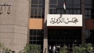 مجلس الدولة 