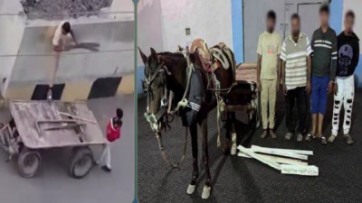 المتهمين 