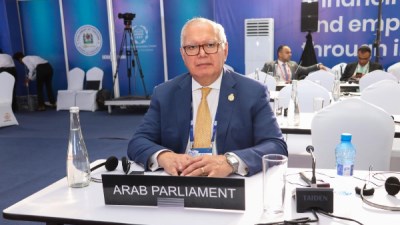 السفير محمد العرابي