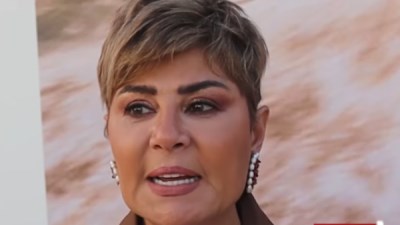 مفيد شيحة 