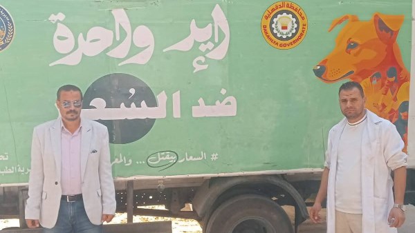 حملة لمواجهة الكلاب الضالة بحي غرب المنصورة