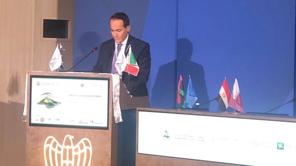 الرئيس التنفيذي للهيئة العامة للاستثمار والمناطق الحرة 