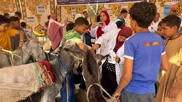 جانب من القافلة 