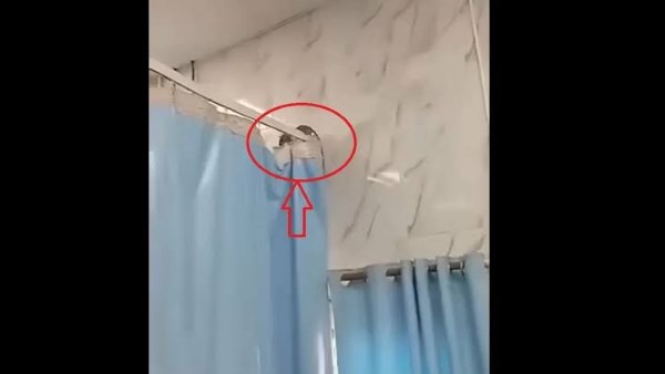 صورة الفار داخل المستشفى 