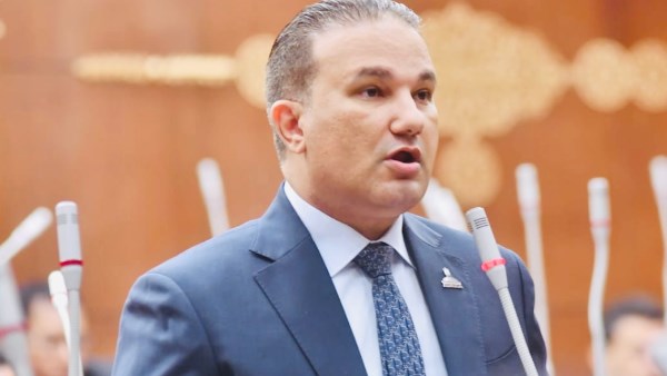 النائب تامر عبد الحميد، عضو لجنة الشئون المالية والاقتصادية والاستثمار بمجلس الشيوخ