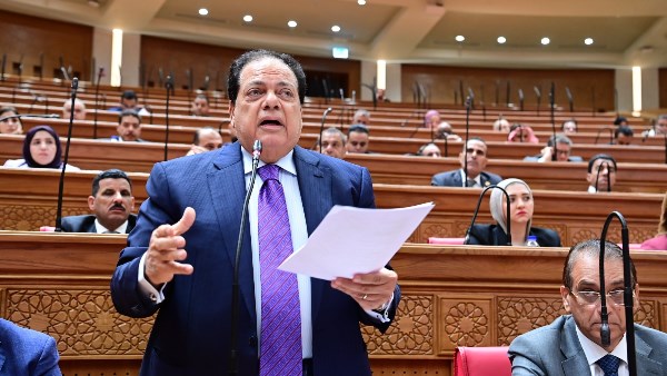محمد ابوالعينين عضو مجلس النواب