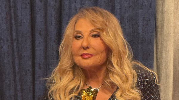 الفنانة نادية الجندي