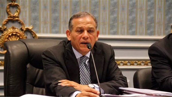 محمد أنور السادات، نائب رئيس المجلس القومي لحقوق الإنسان
