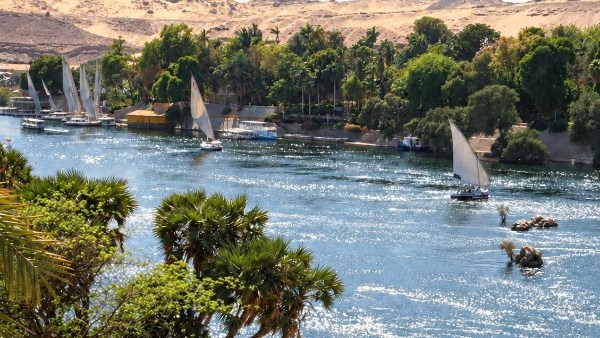 مجلس الوزراء يوافق على إدراج المشروع القومي بموازنة الري
