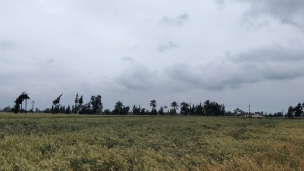حالة الطقس 
