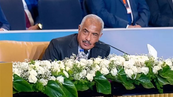هشام طلعت مصطفي 