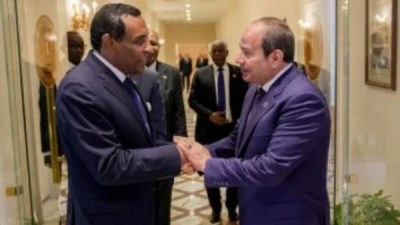 العلاقات وطيدة.. كامل إدريس يؤكد سعادته بلقاء الرئيس عبد الفتاح السيسي 