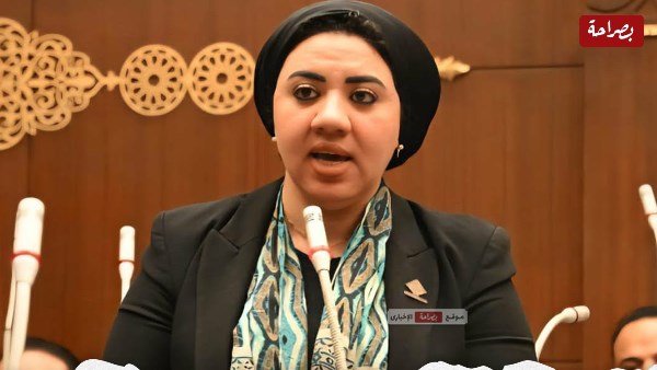 النائبة أميرة صابر