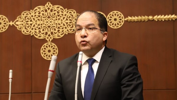 النائب عادل اللمعي،