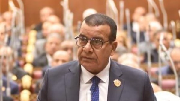 النائب محمود مرجان