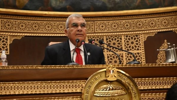  المستشار عصام فريد