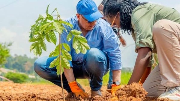 مشروع إدارة الموارد المائية والري