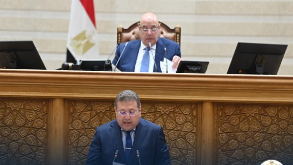  جلسة مجلس النواب