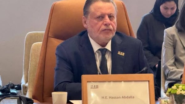 حسن عبد الله، محافظ البنك المركزي المصري