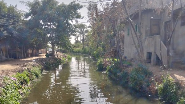 محافظة البحيرة 