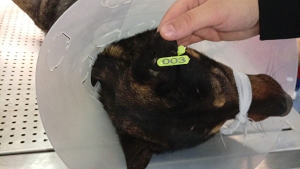 محافظة البحيرة 