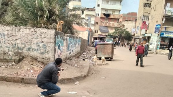 محافظة البحيرة 