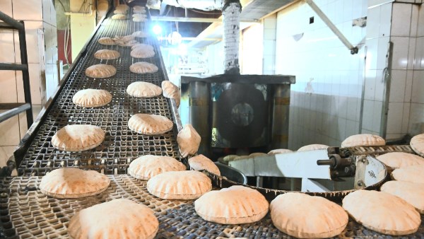 محافظة البحيرة 