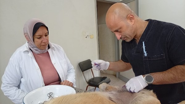 محافظة البحيرة 