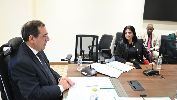 زينب بشير عضو مجلس النواب 