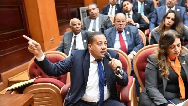 ناصر الضوي عضو مجلس الشيوخ 