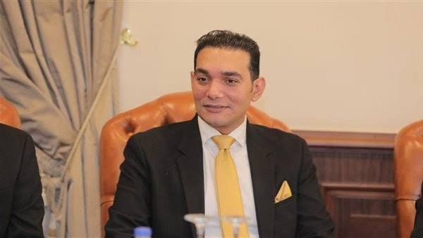 النائب نشأت حته خلال الجلسة العامة