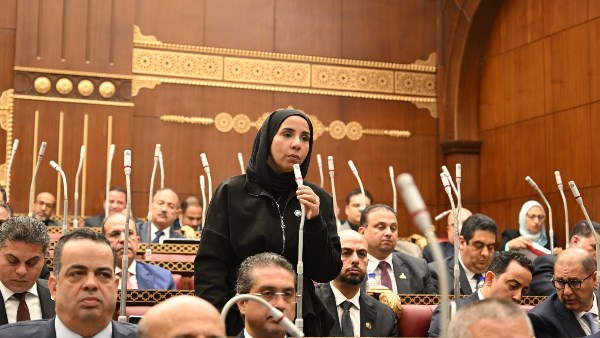 النائبة ولاء هرماس تطالب بإجراءات عاجلة لحماية الأطفال من مخاطر الإنترنت