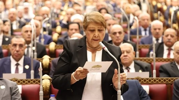 قالت النائبة أمينة النقاش، عضو مجلس الشيوخ عن حزب التجمع، "كلنا متفقين على أننا أمام مسشكلة وبنقدم حلول مختلفة لها
