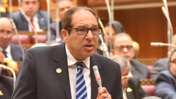 حسام الخولي: حماية النشء معركة دولة كاملة في مواجهة تطبيقات تهدد القيم