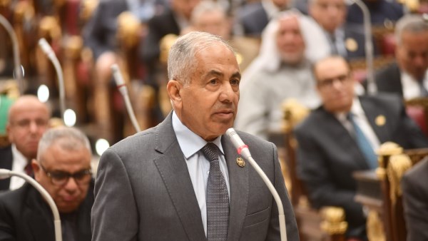  برلمانية الجبهة الوطنية: لن نسمح بسلق القوانين أو ترك كل شيء للائحة التنفيذية