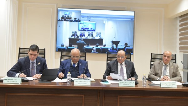 اللواء محمود شعراوي: دوري كوزير انتهى والآن انا نائب عن الشعب