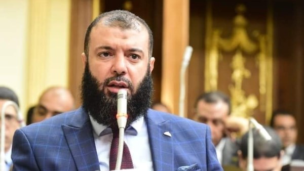 نواب: تطوير قانون المهن الرياضية أصبح فرض عين بعد 39 عامًا دون تحديث