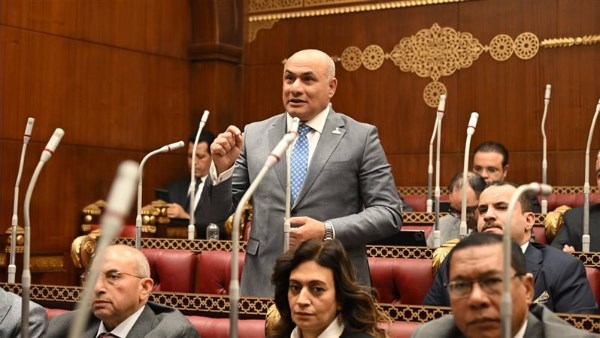 عضو مجلس شيوخ: المتحدة تقدم رسائل وقيم تعالج كافة القضايا المجتمعية 