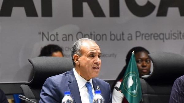 د.بدر عبد العاطي - وزير الخارجية 