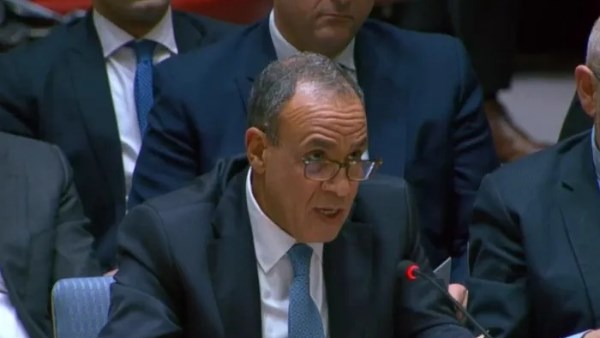 د. بدر عبد العاطي وزير الخارجية والتعاون الدولي والمصريين بالخارج