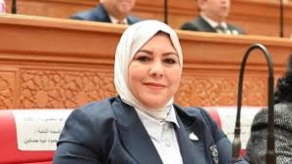 النائبة شيماء نبيه : نحتاج توزيع عادل للمنح فهناك مناطق في محافظة الدقهلية تستحق 
