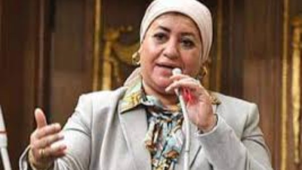 رحاب الغول تطالب بتوجيه المنح لتطوير مستشفي نجع حمادي والحضانات بالوقف ودشنا