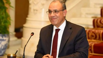  الدكتور بدر عبد العاطي، وزير الخارجية