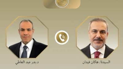 وزير الخارجية المصر والتركي